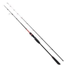 RYUJI SPECTRA SP 2.00M 40-180GR 2P BOT KAMIŞI