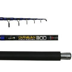 Carnellian Olta Kamışı 400 cm