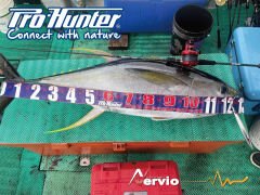 Kaido-Nervio Solid Caron Baitcast Rod KNC601-HS Ji
