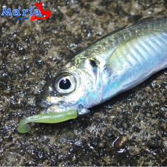Ma2 Worm Action Fish 1.8